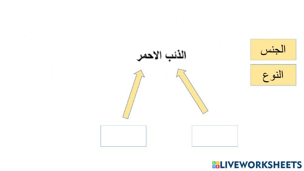 تسمية الكائنات الحية