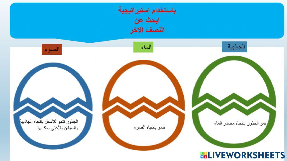 استجابة النبات للمؤثرات