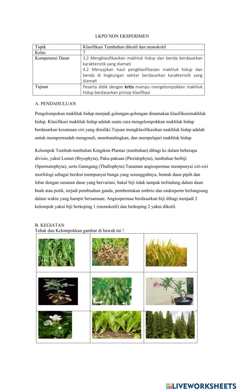 Klasifikasi tumbuhan dikotil dan monokotil