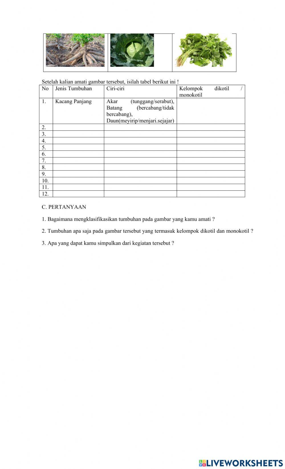 Klasifikasi tumbuhan dikotil dan monokotil