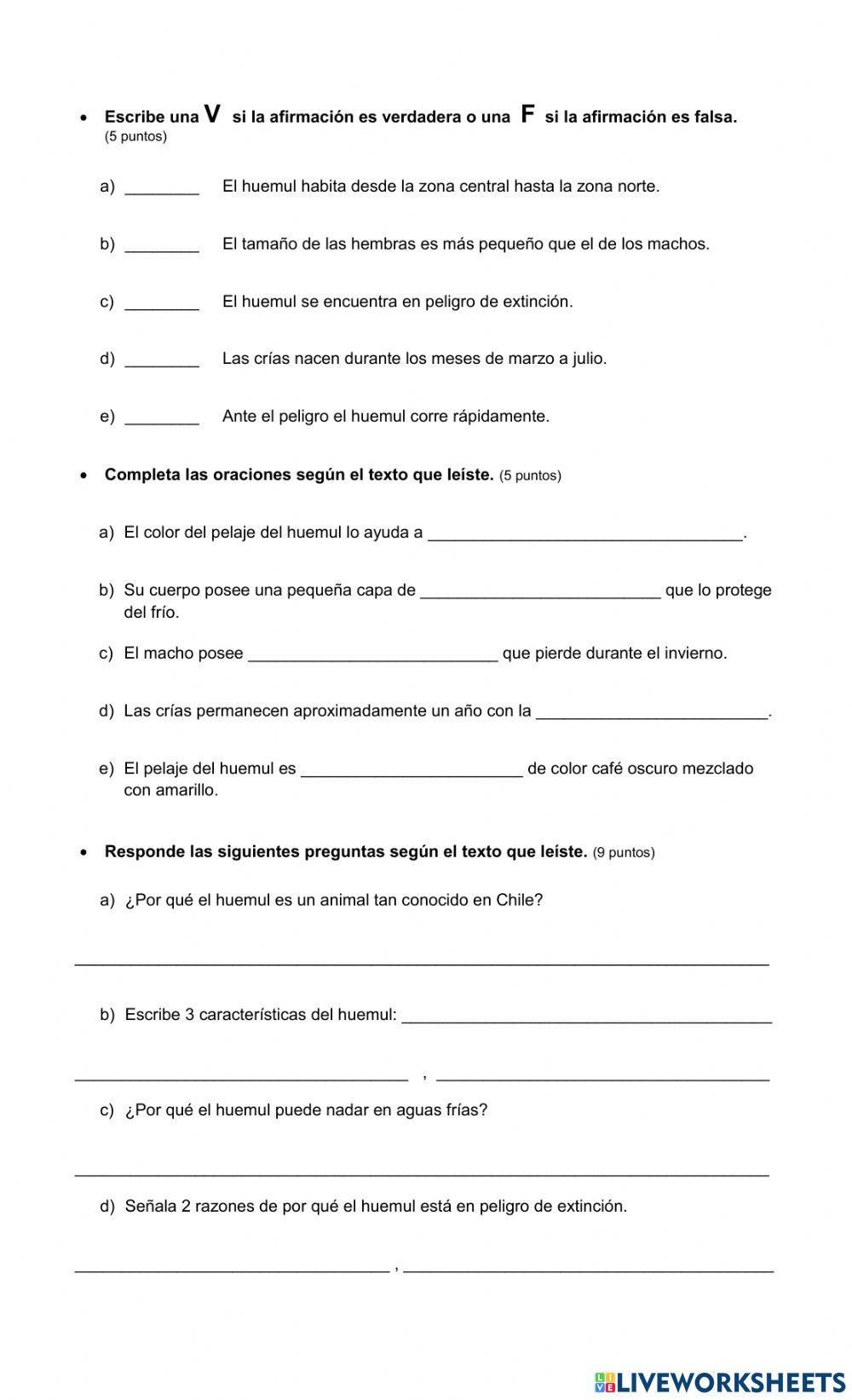 Evaluación de segundo básico