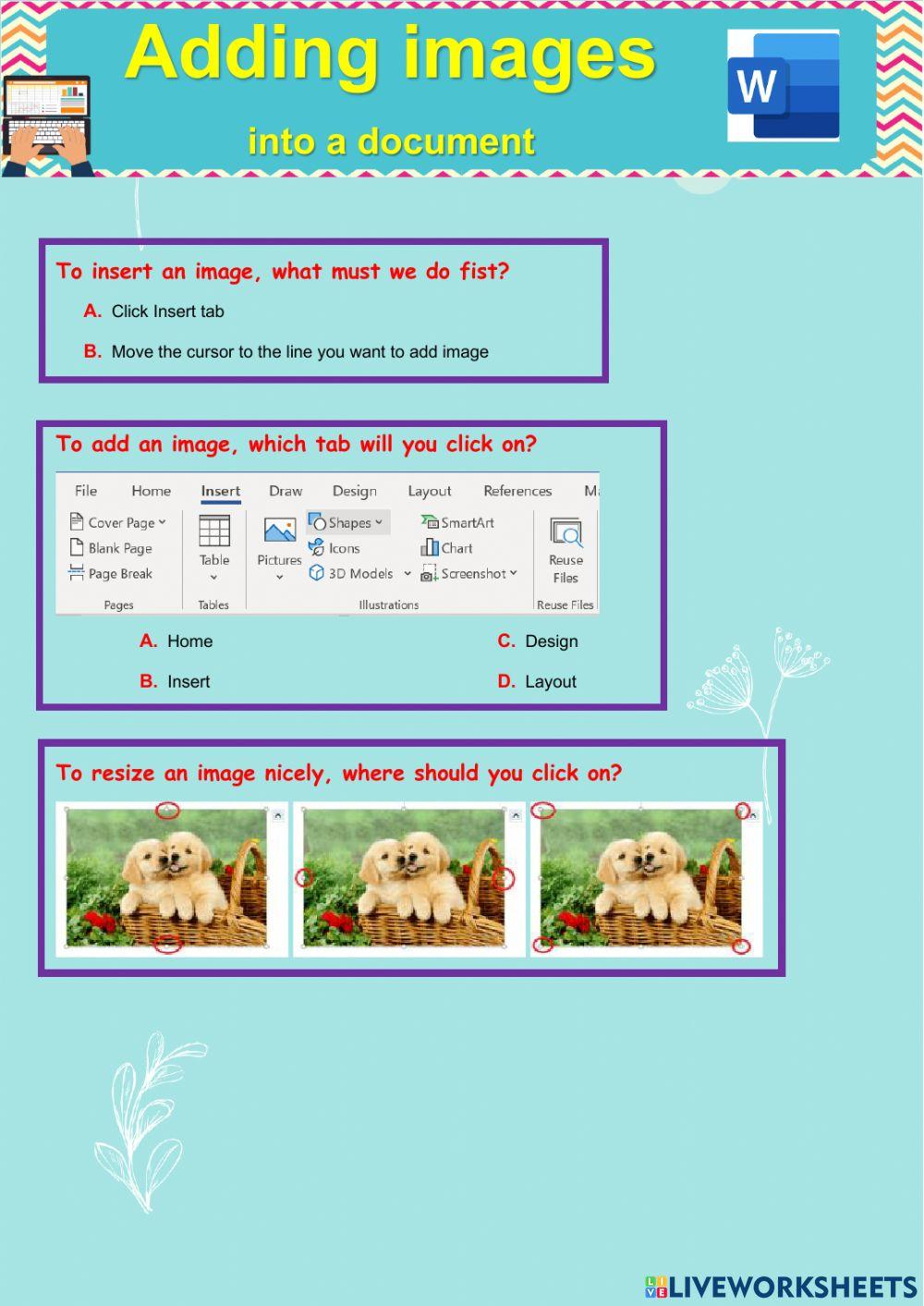 G3 - MS Word - Add images