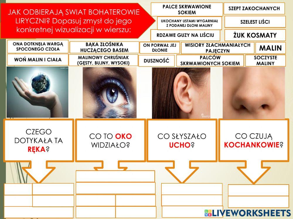W Malinowym Chruśniaku Interpretacja Bolesław Leśmian W malinowym Chruśniaku worksheet | Live Worksheets