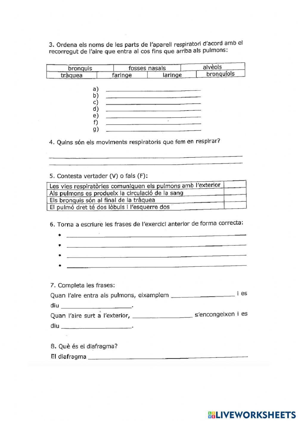 L'aparell respiratori