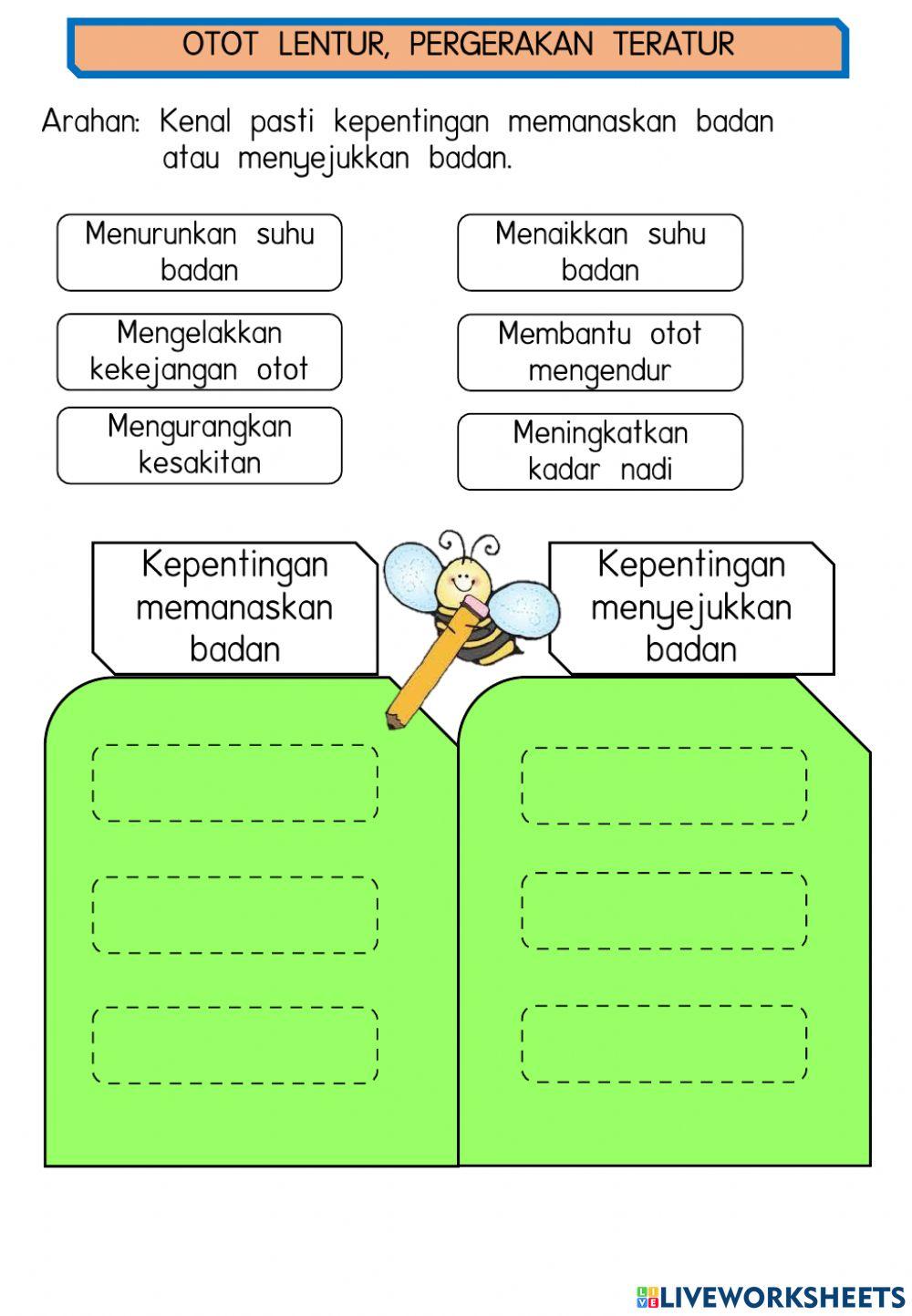 Otot Lentur, Pergerakan Teratur