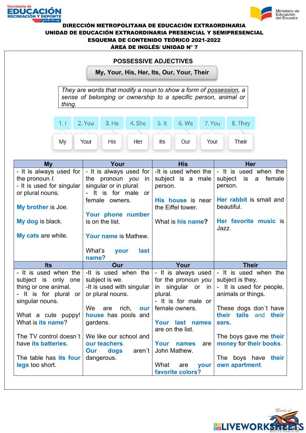 UNIDAD 7 Possessive adjectives