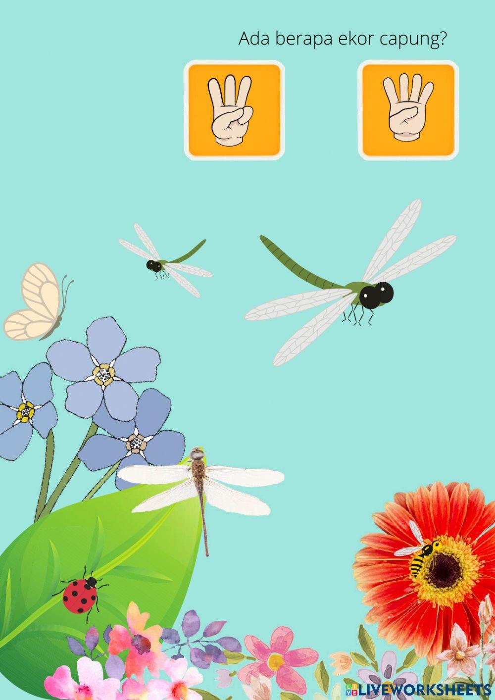 Mengenal & Menghitung Binatang Bersayap