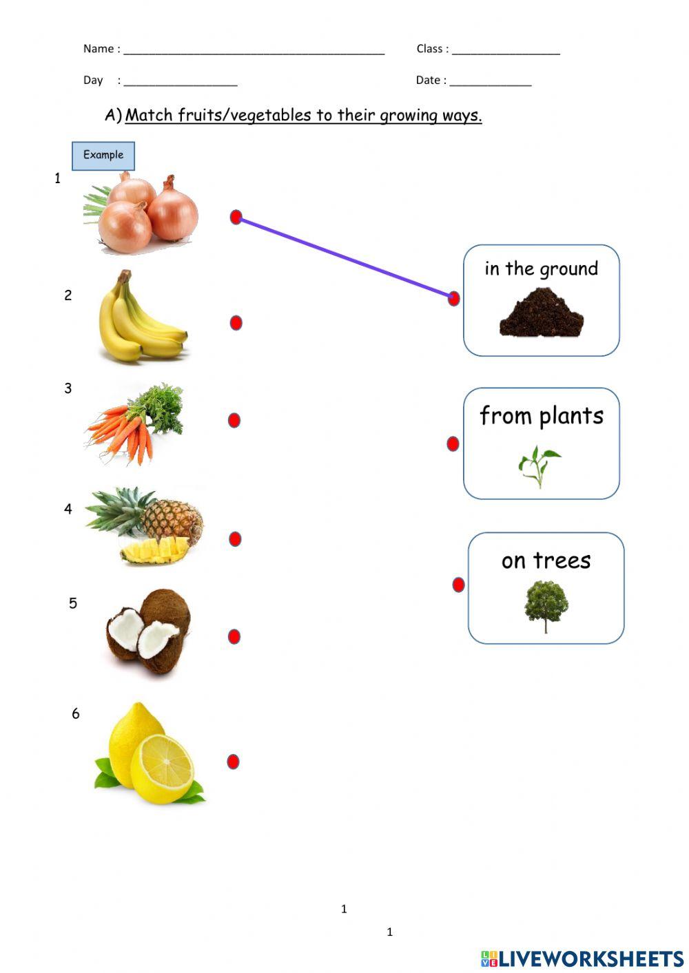 Where are they grow?
