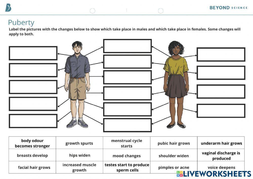 Puberty Live Worksheets Vrogue co puberty-live-worksheets-vrogue-co
