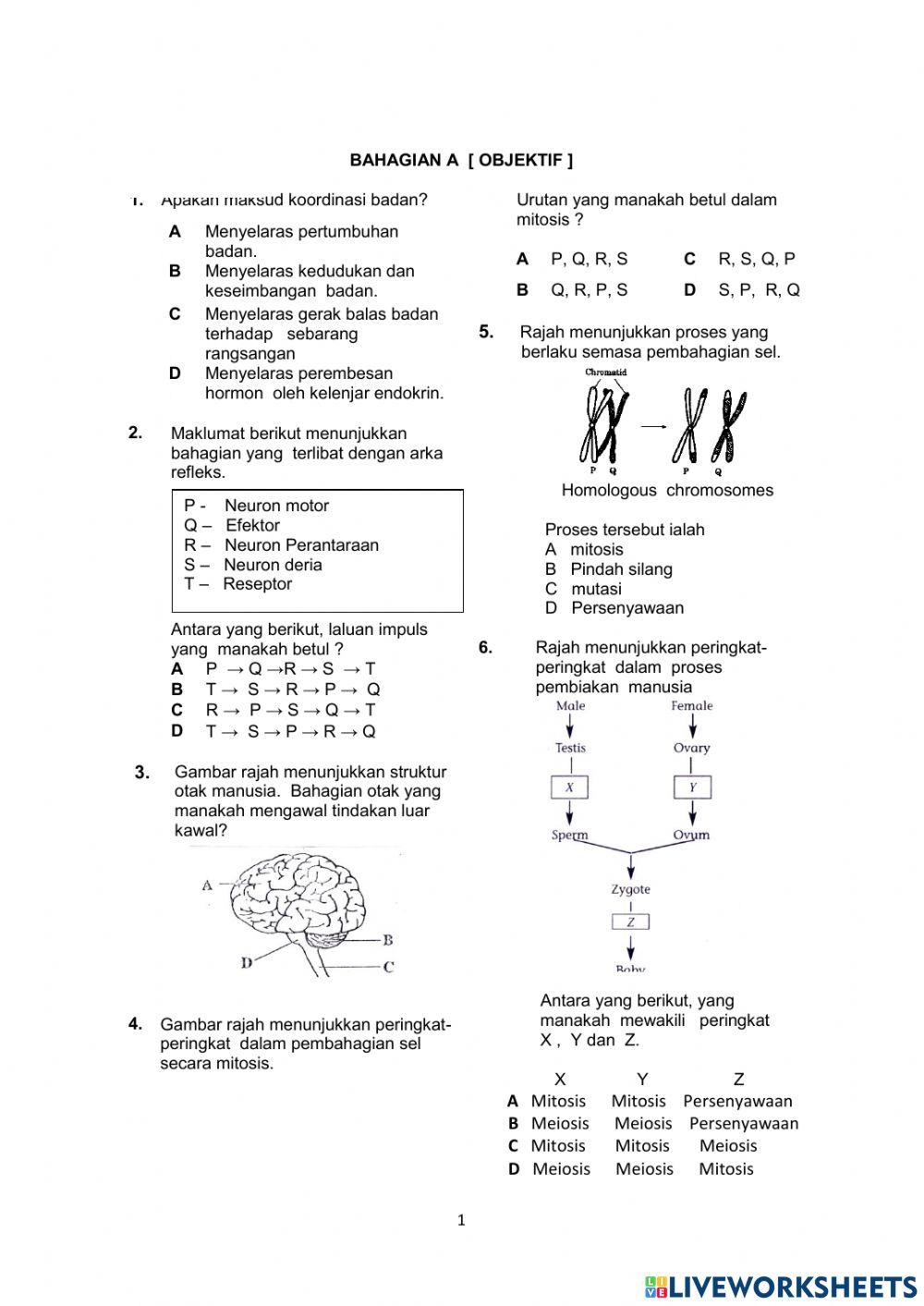 Latihan Objektif Sains Tingkatan 5