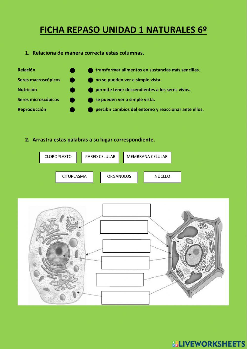 Una gran variedad de seres vivos
