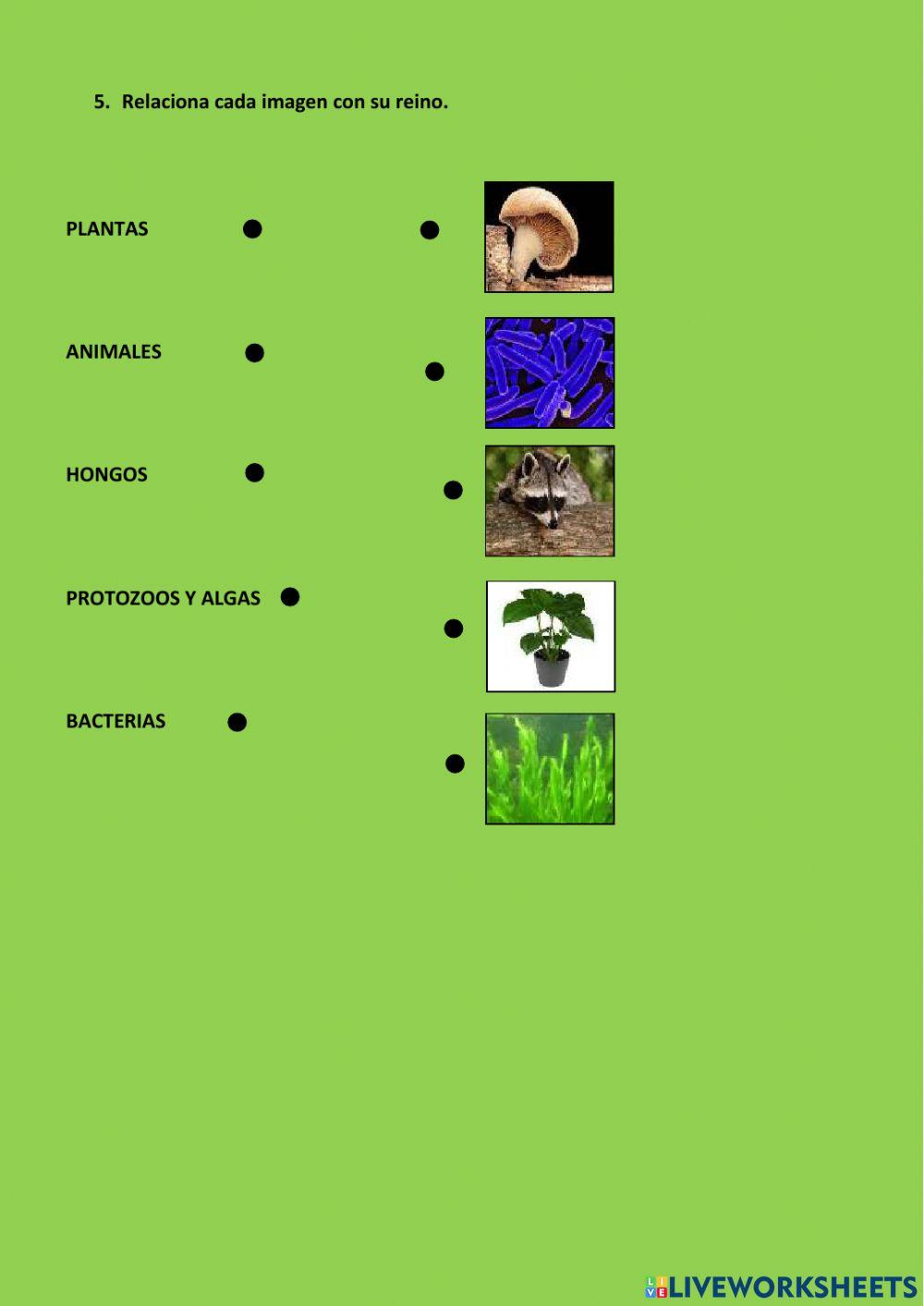 Una gran variedad de seres vivos
