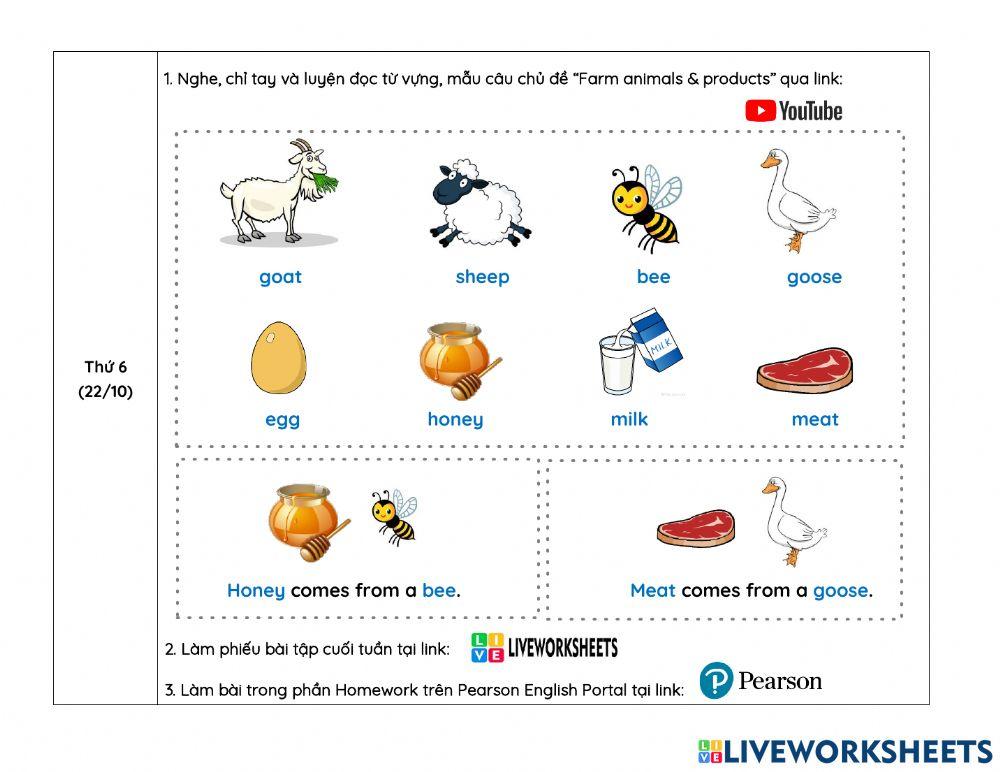 Week 12- HƯỚNG DẪN HỌC T.A