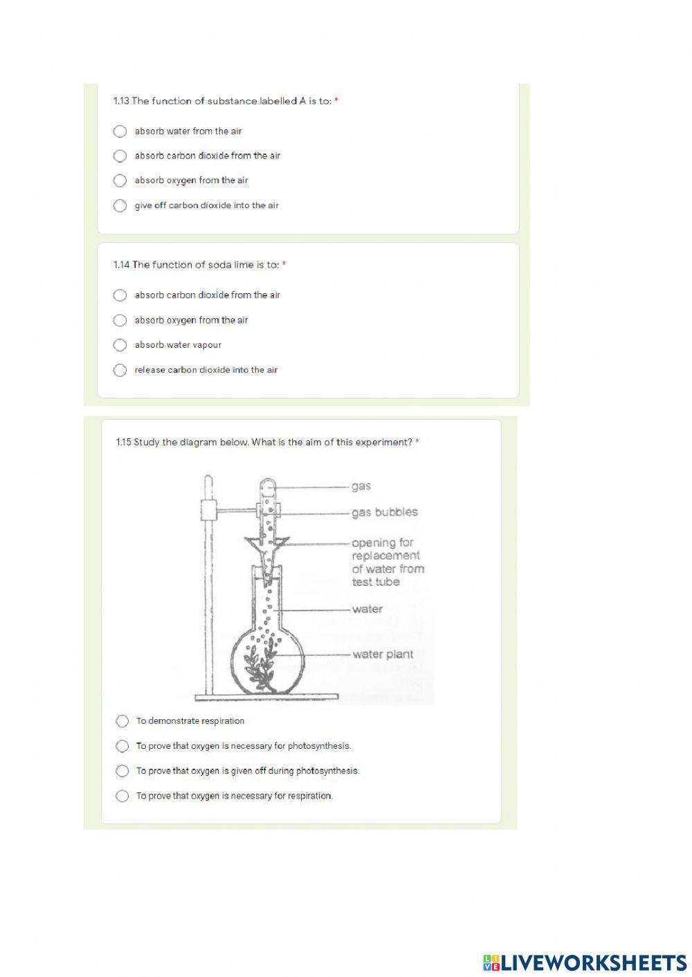 5. Photosynthesis