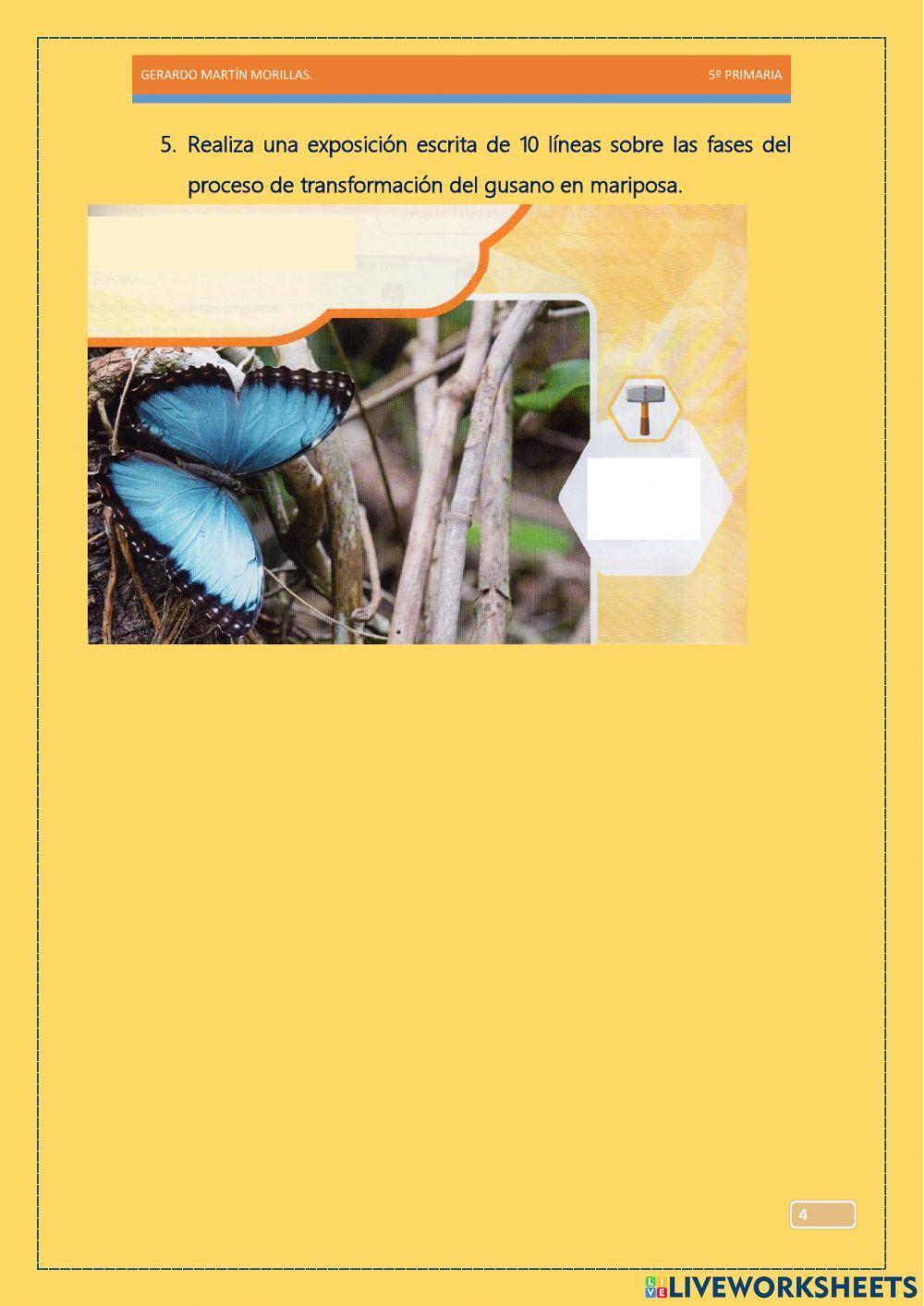 Comunicación oral. Tarea 3.