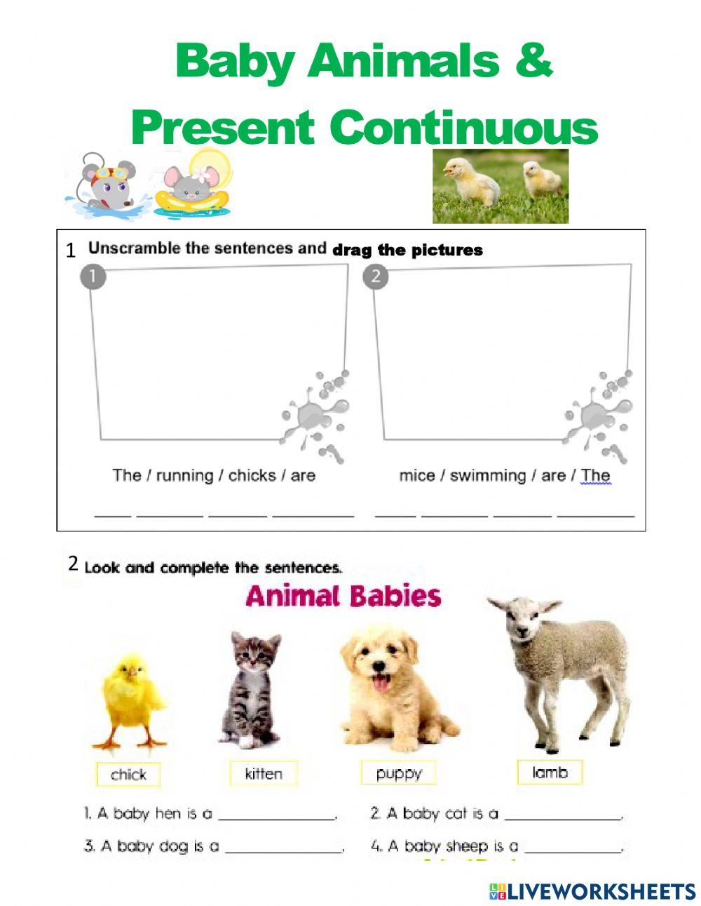 Baby Animals & Present Continuous