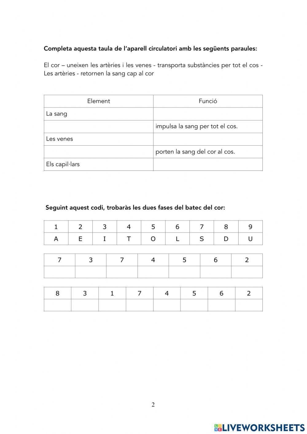 L'aparell circulatori