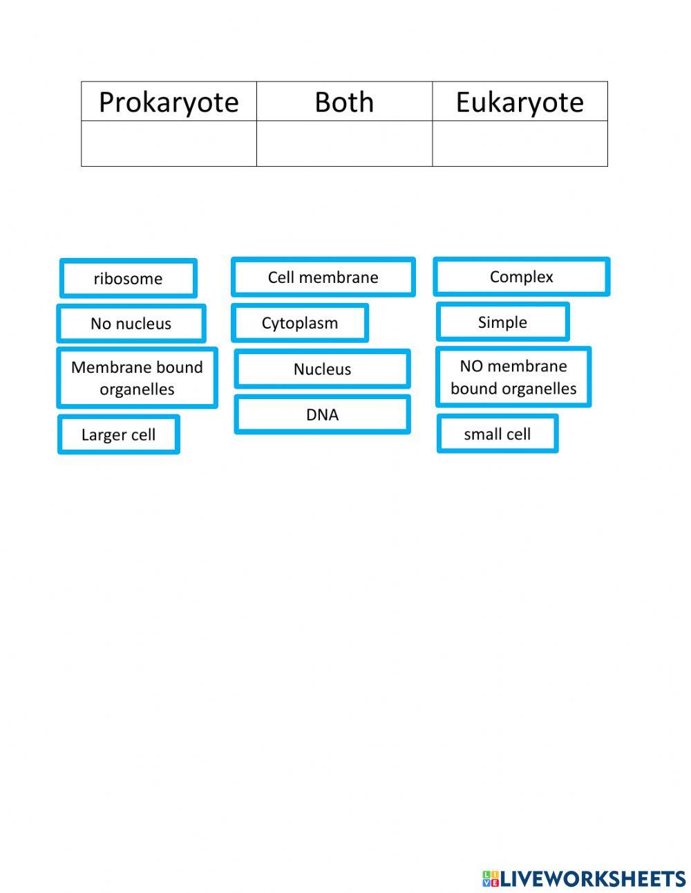 Prokaryote Vs Eukaryote Interactive Worksheet Live Wo vrogue co