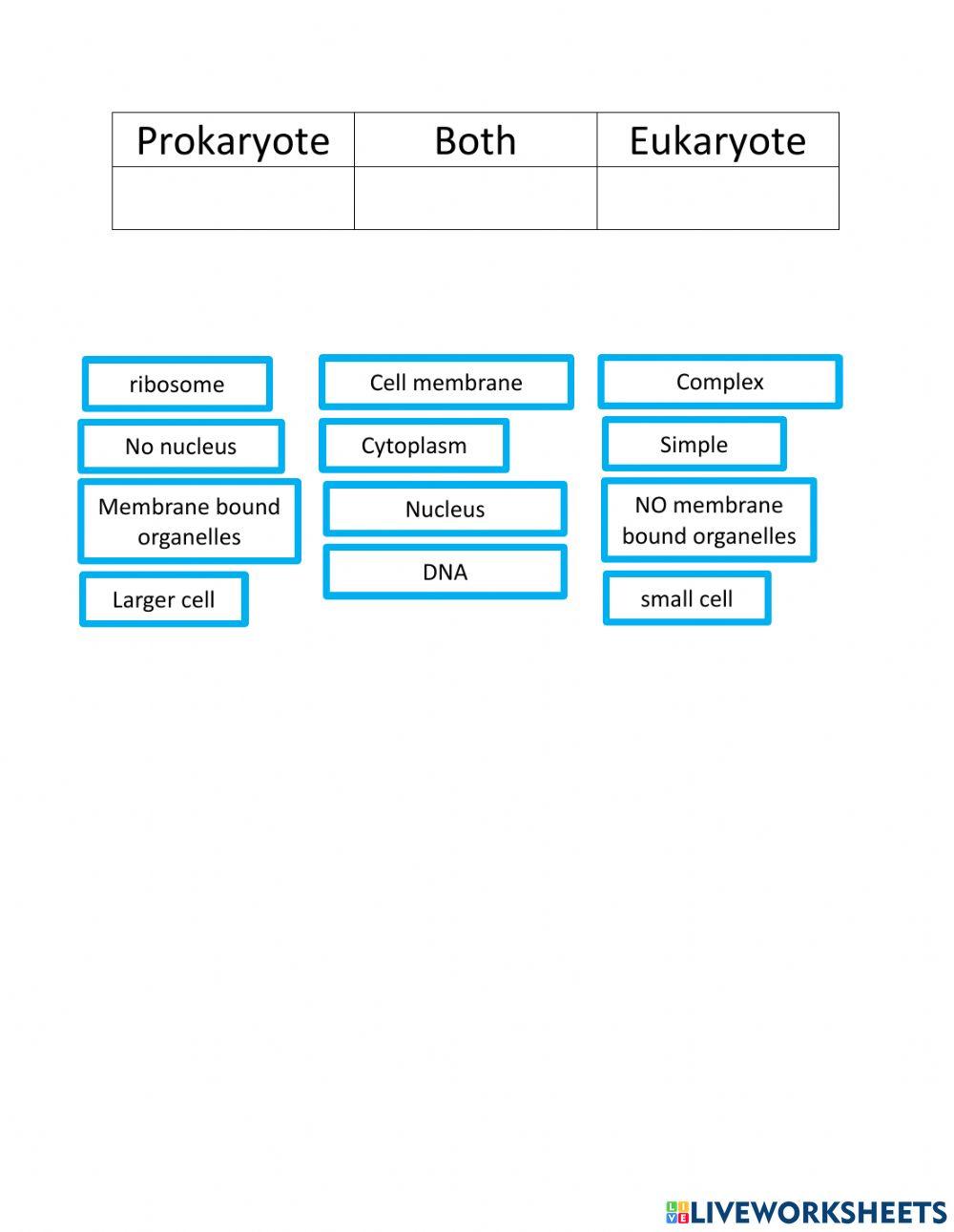 Prokaryote vs eukaryote interactive worksheet | Live Worksheets