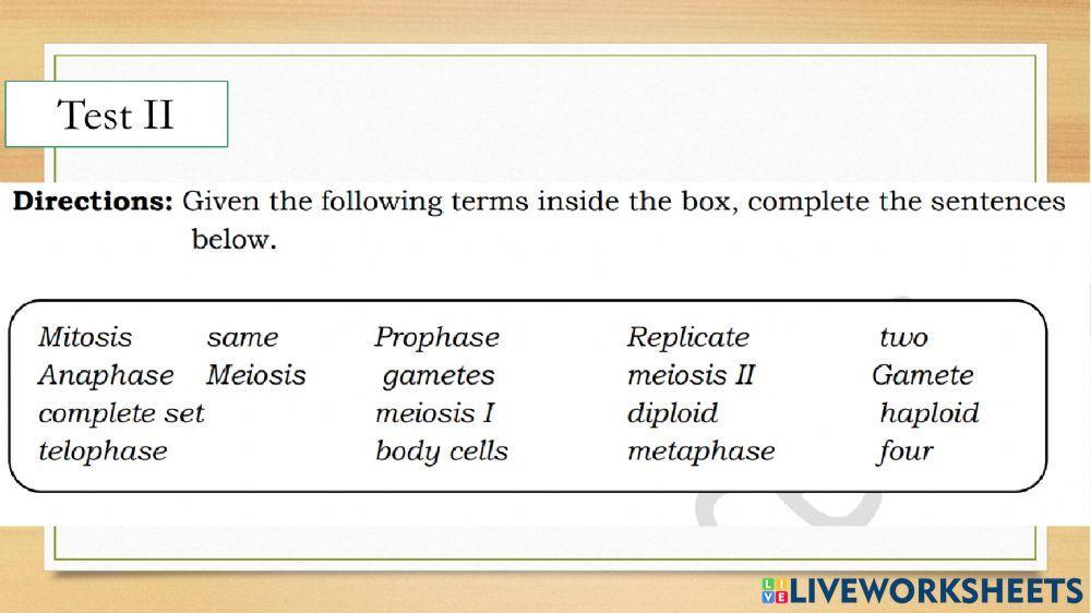 Mitosis vs Meiosis