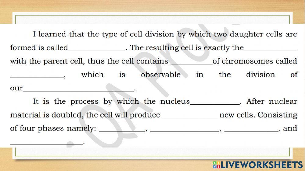 Mitosis vs Meiosis