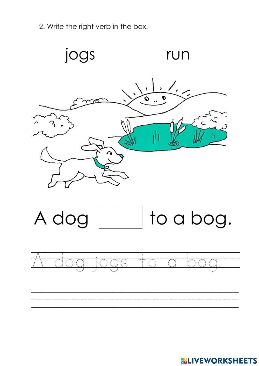 Lesson 7: The Dog in the Fog