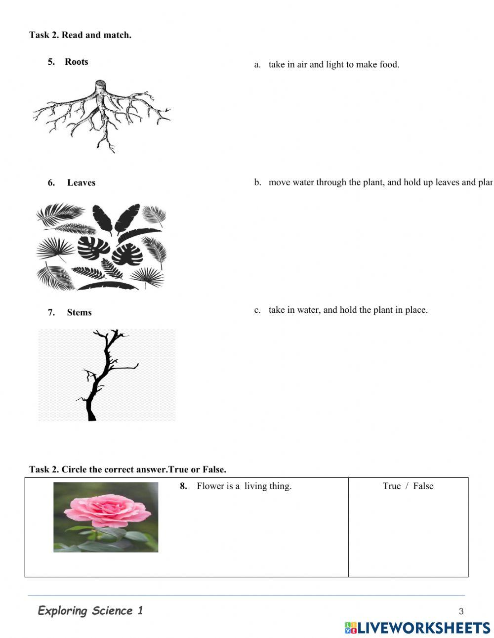 2clc-science-study guide