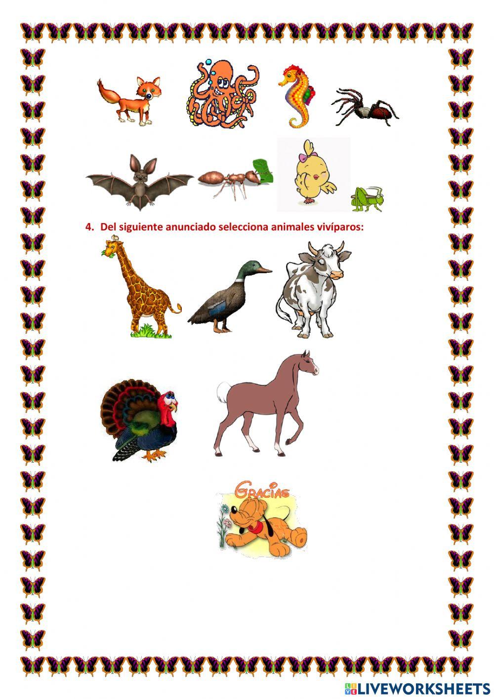 Animales vertebrados e invertebrados