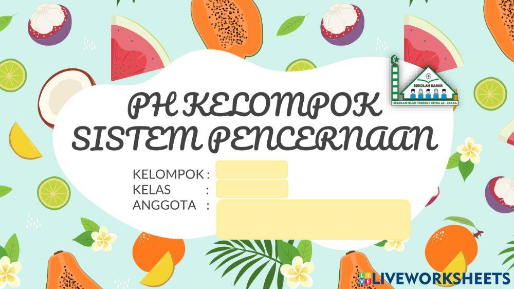 Ph kelompok sistem pencernaan