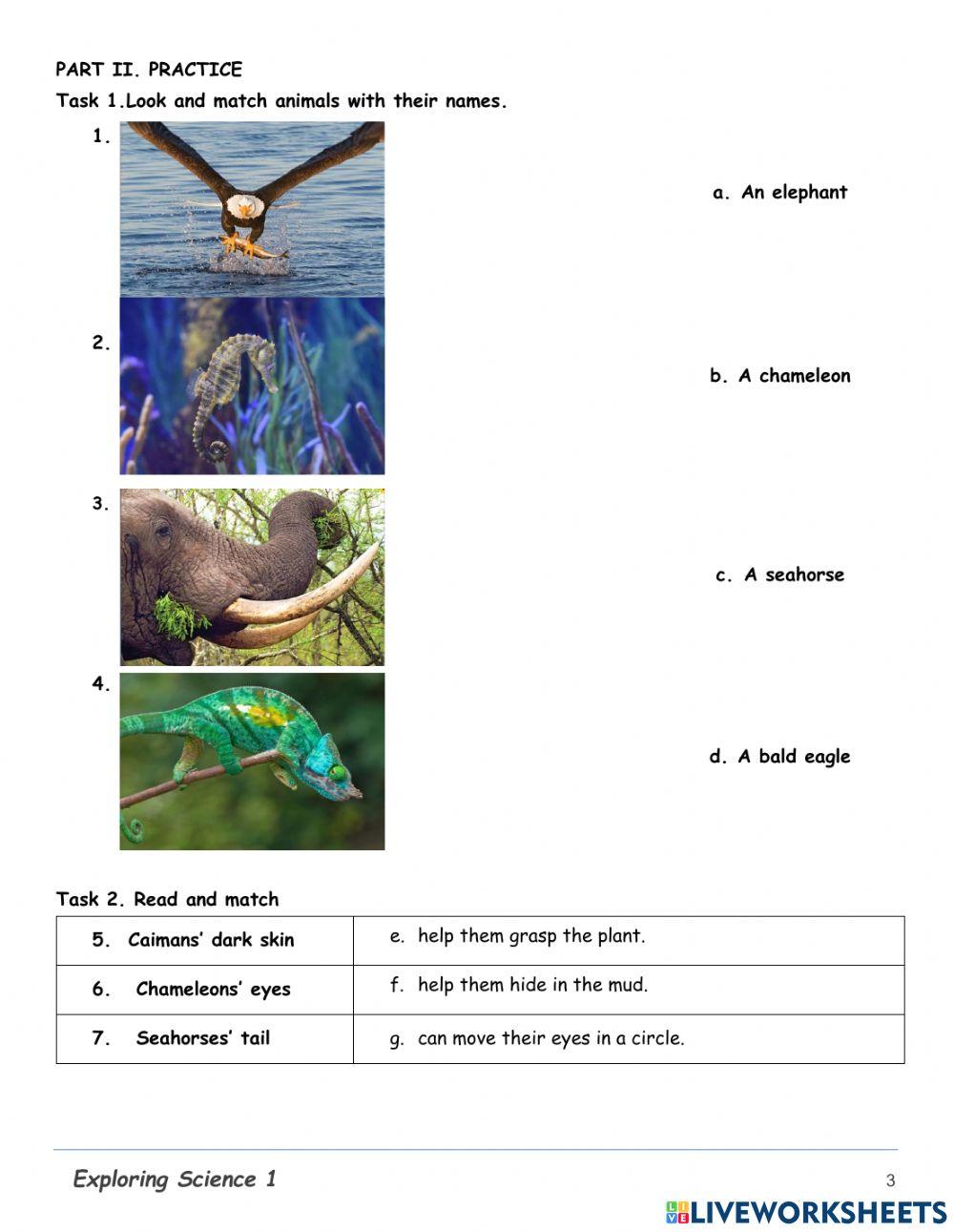 2ccs-science-study guide
