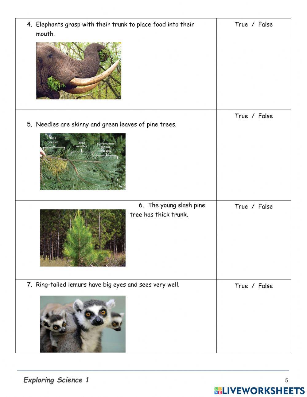 2ccs-science-study guide