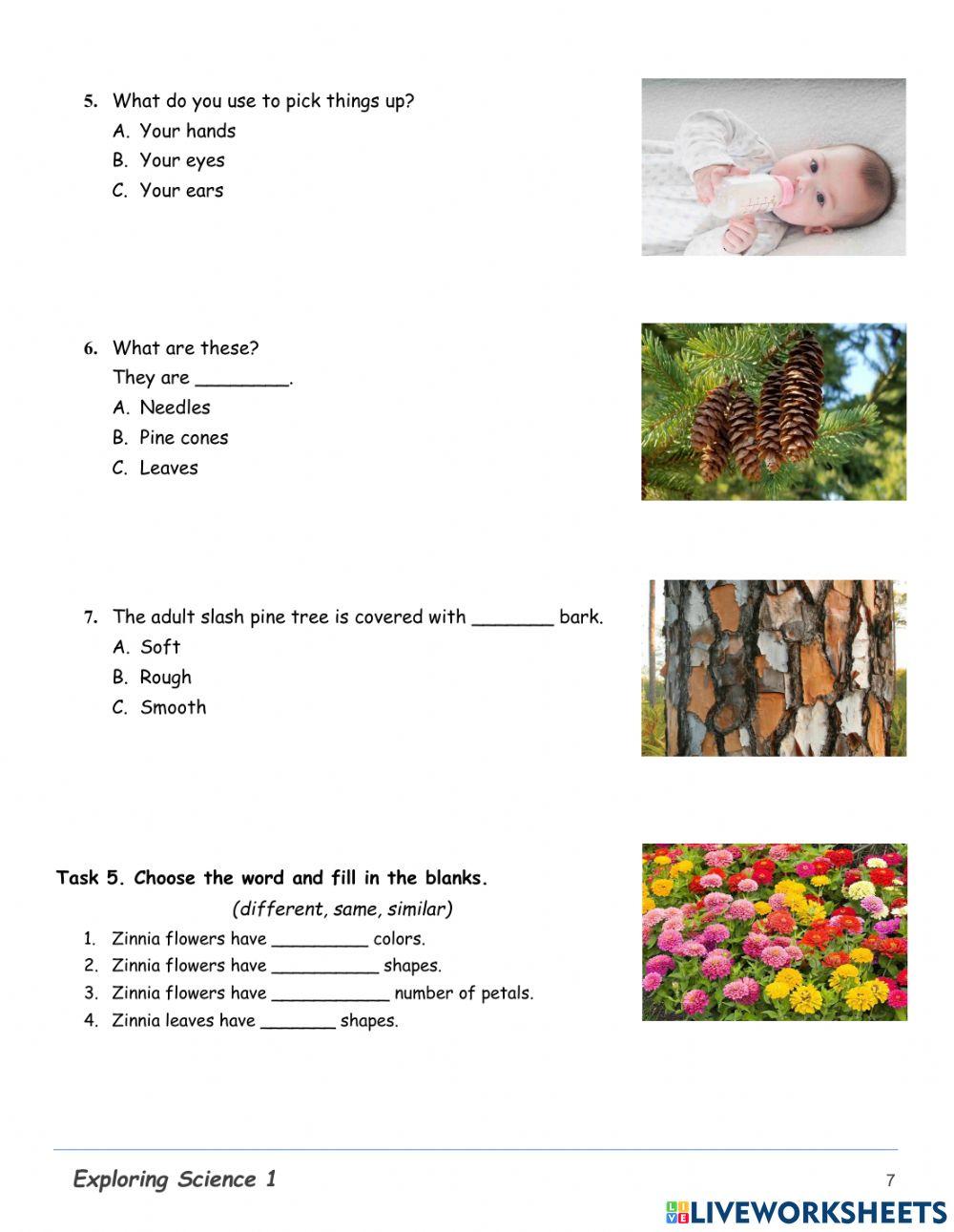 2ccs-science-study guide