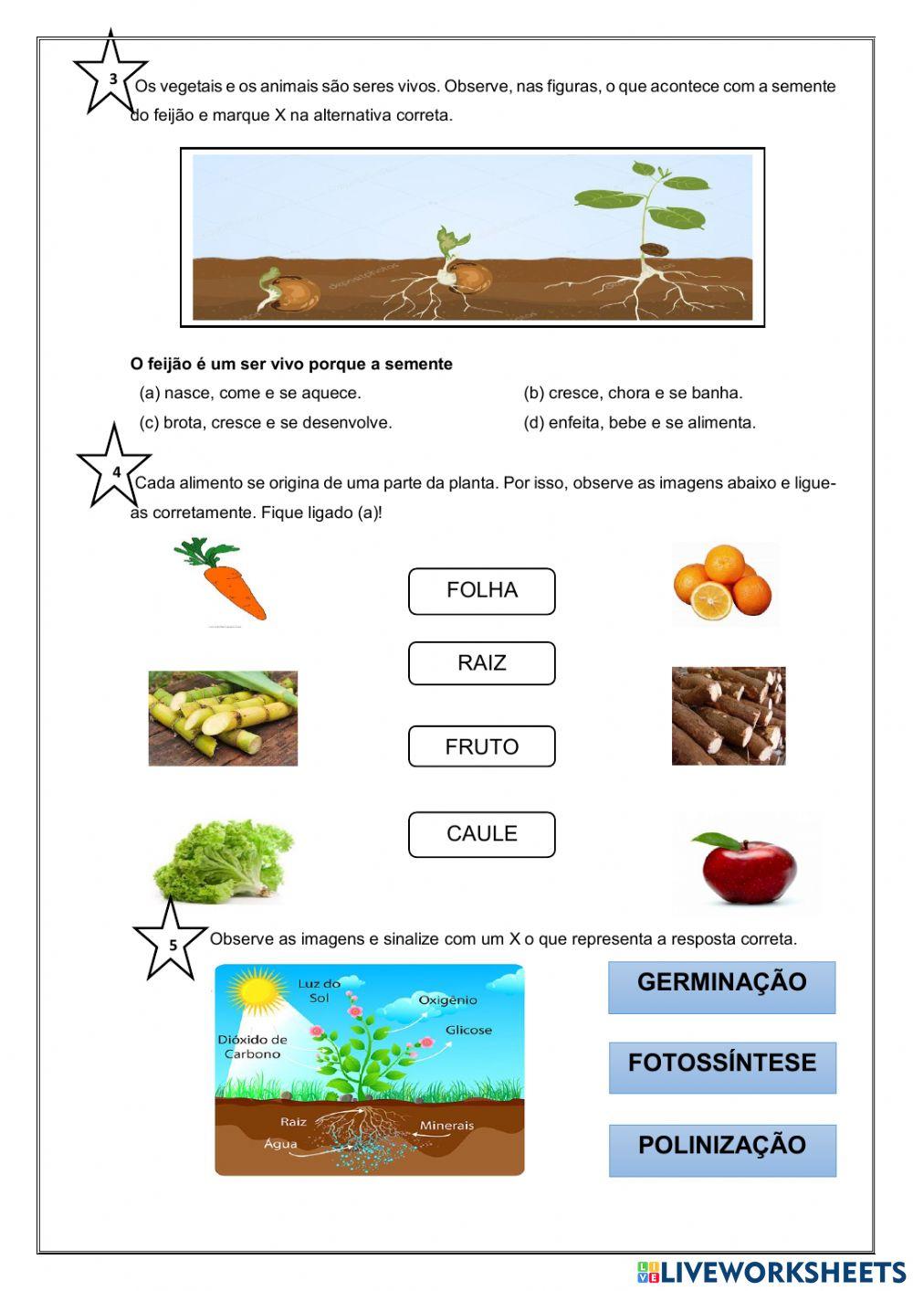 Iii avaliação de ciências