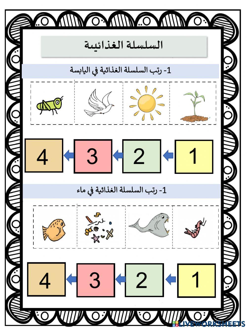 السلسلة الغذائية