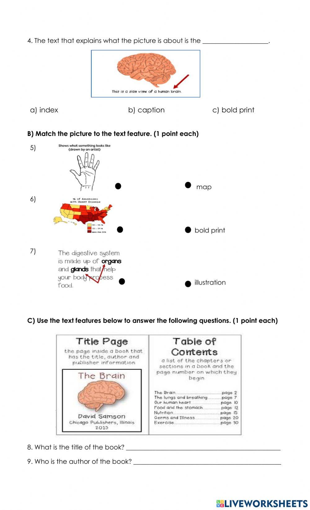Text Features Quiz 3