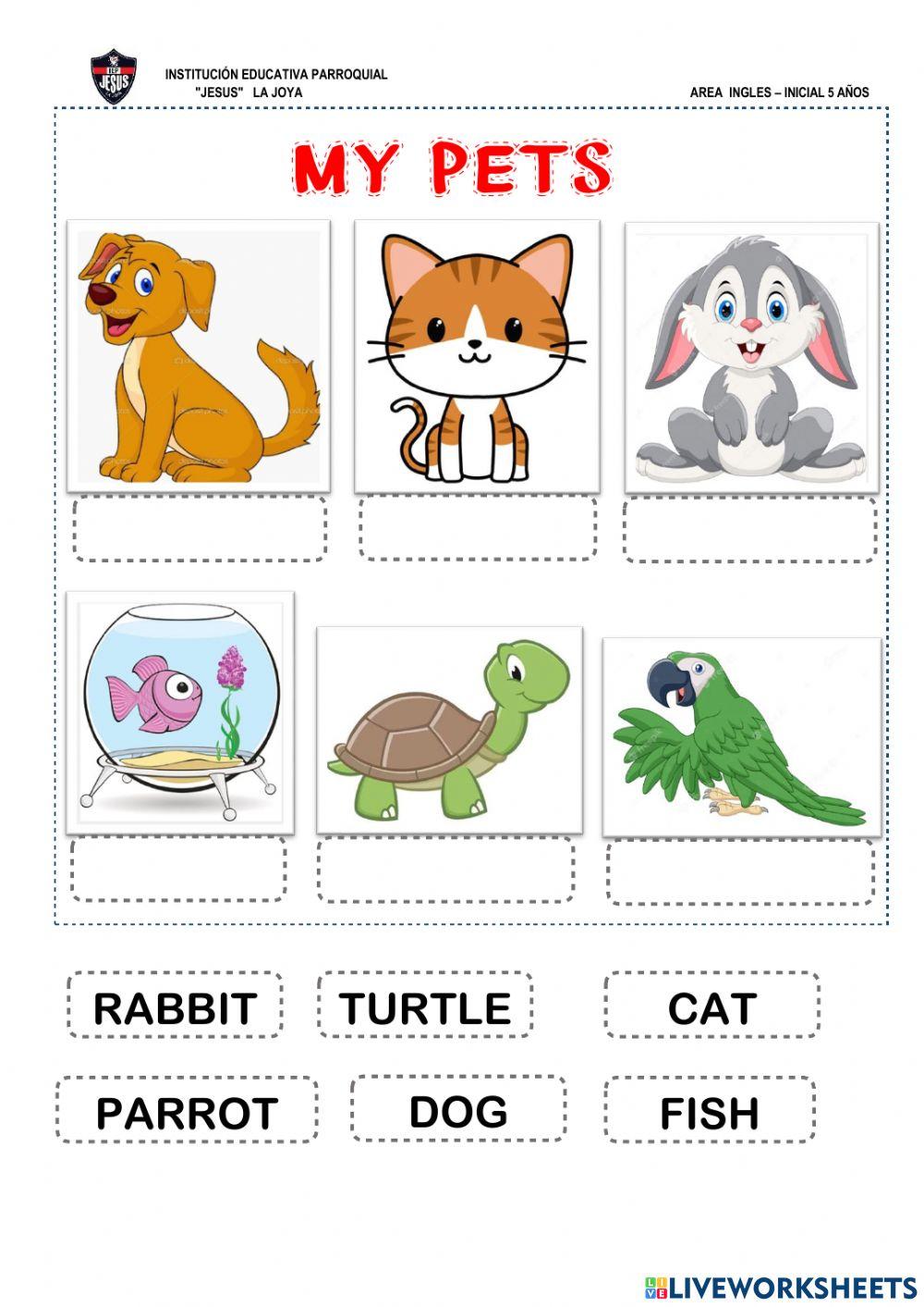 1536802 My Pets Rosa Ccaso LiveWorksheets