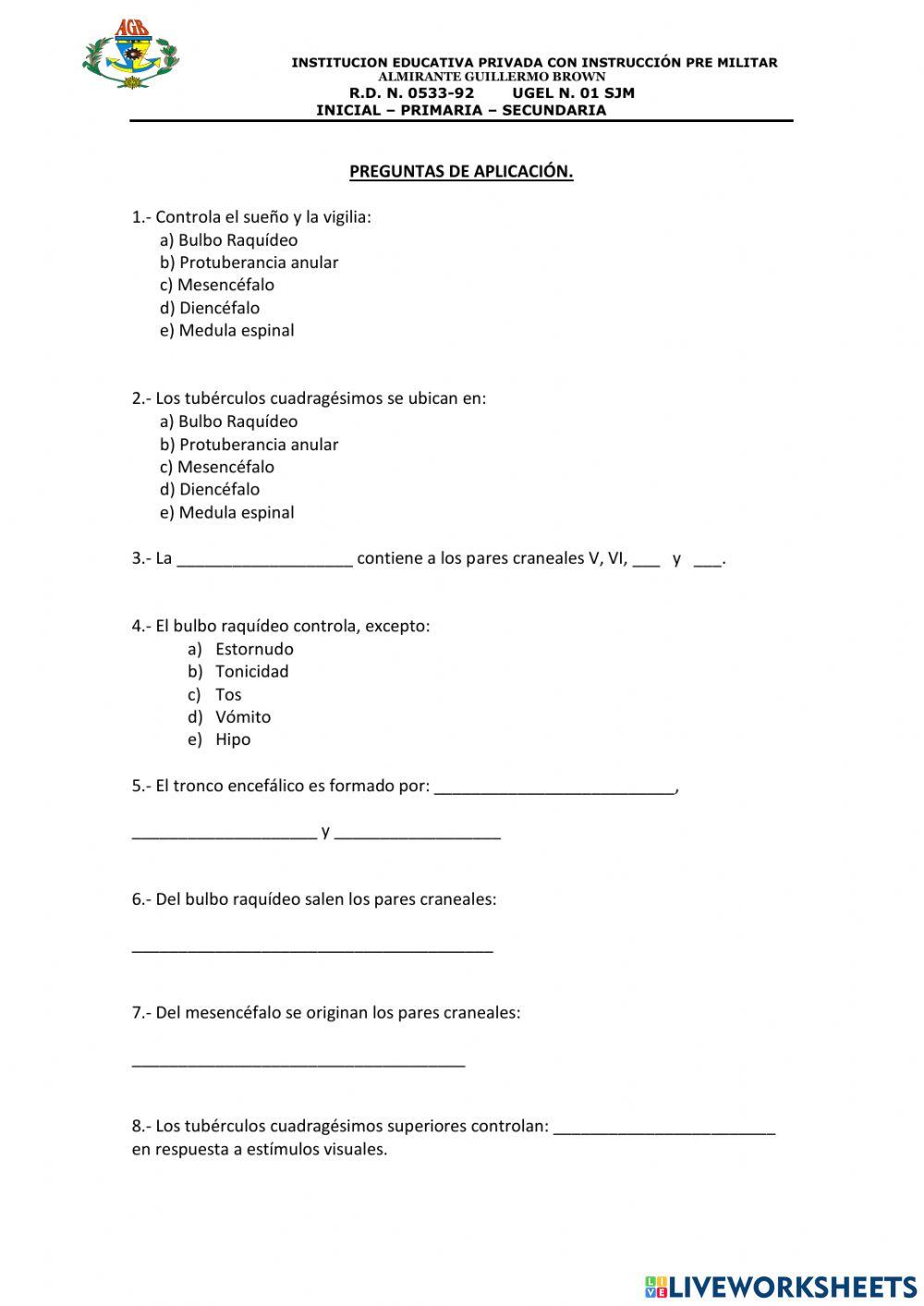 SISTEMA NERVIOSO : TRONCO ENCEFALICO 