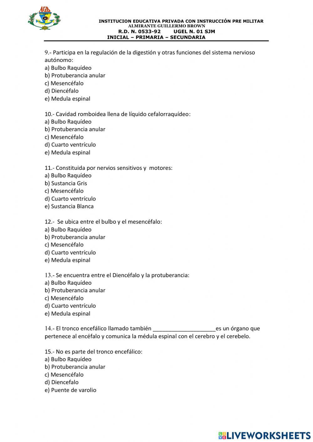 SISTEMA NERVIOSO : TRONCO ENCEFALICO 