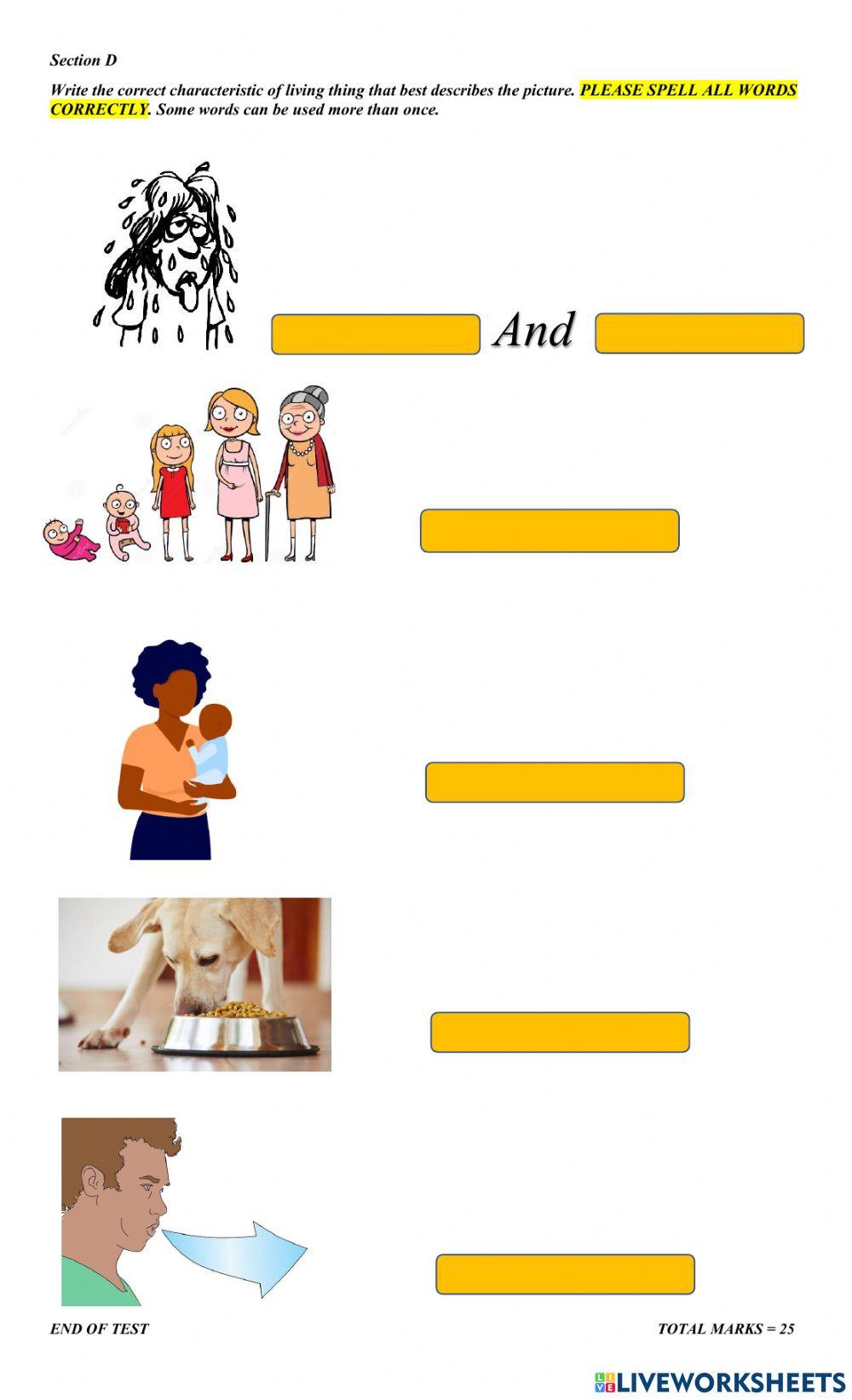 Characteristics of Living Things