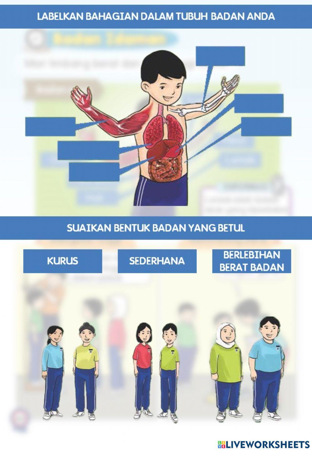Pjk tahun 1 : badan idaman