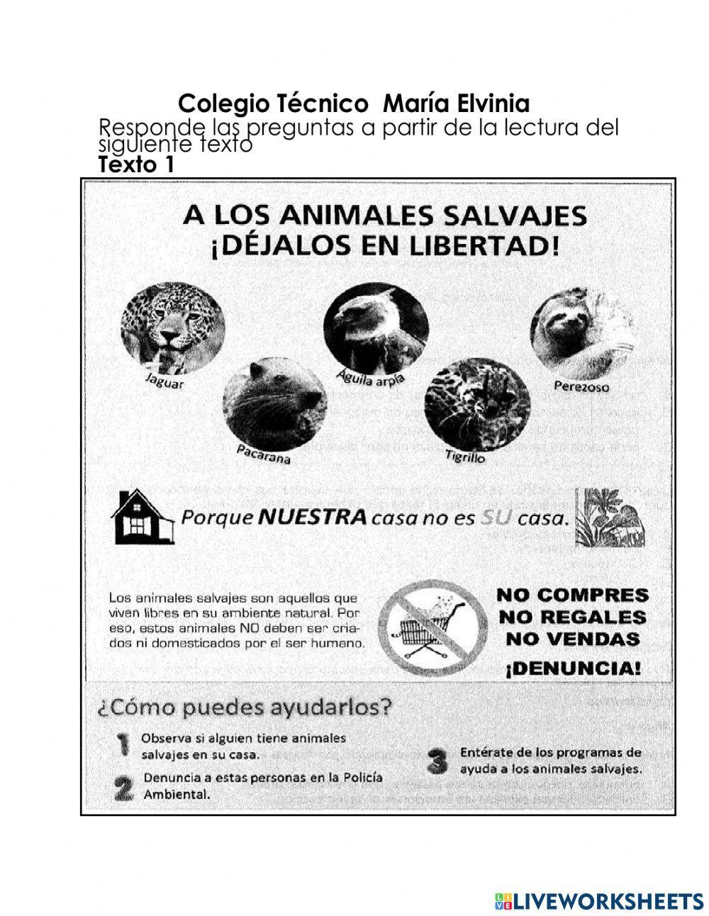 Ficha de animales Ficha de animales