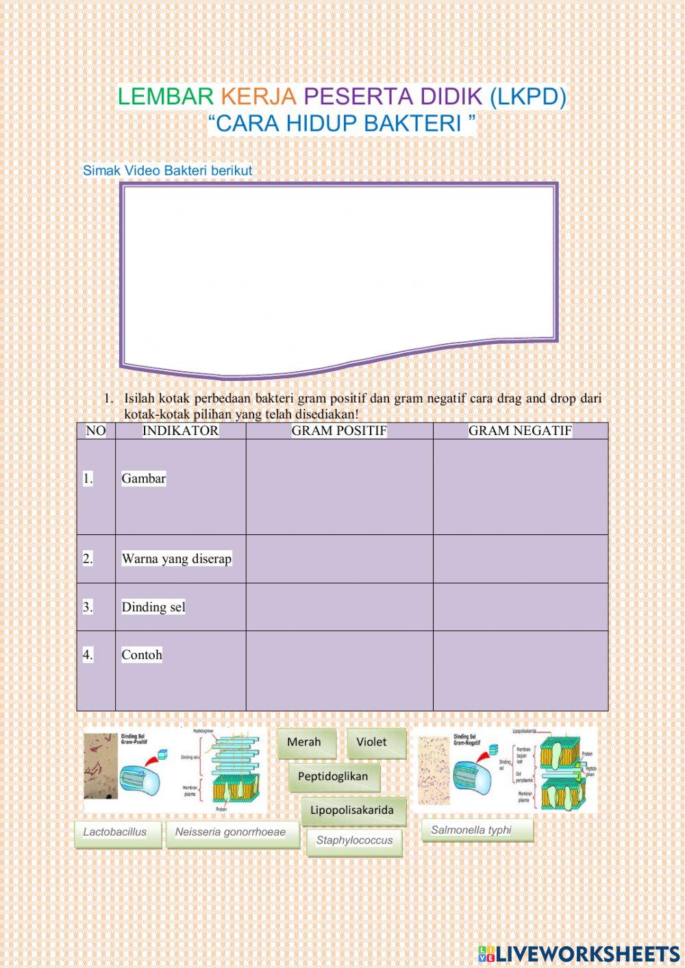 Cara hidup Bkateri .