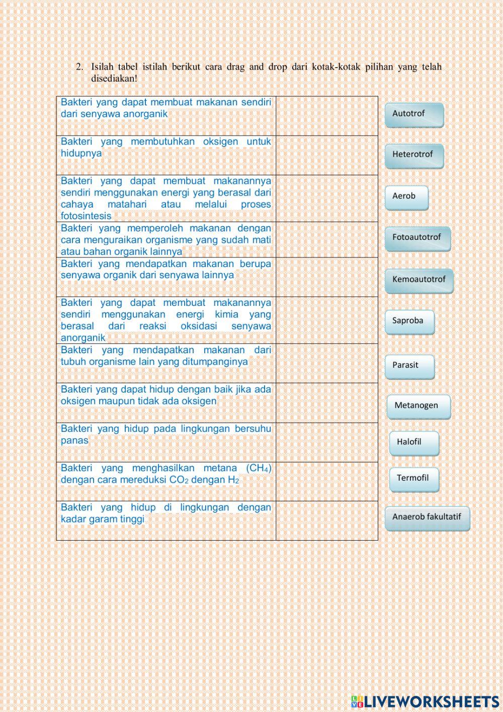 Cara hidup Bkateri .