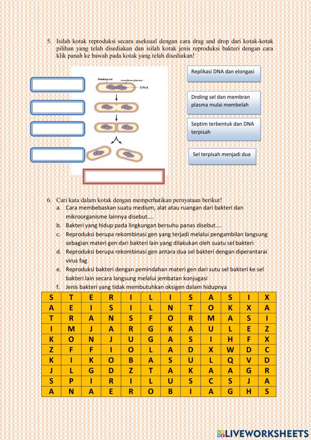 Cara hidup Bkateri .