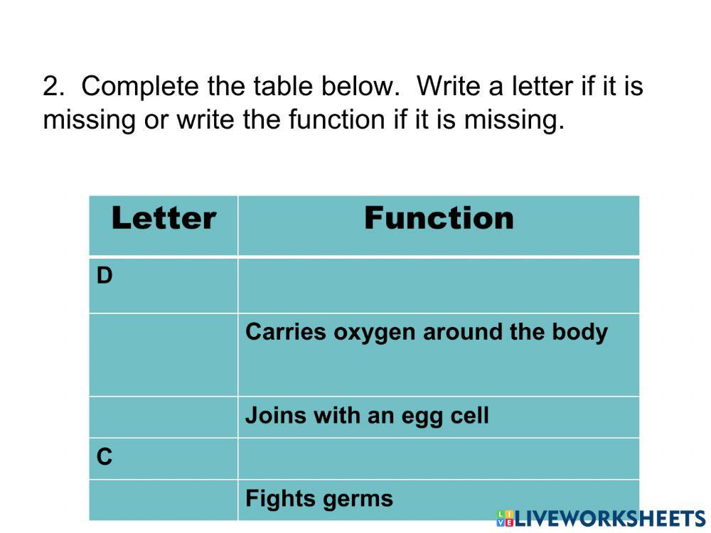 Specialize Cells in Animals