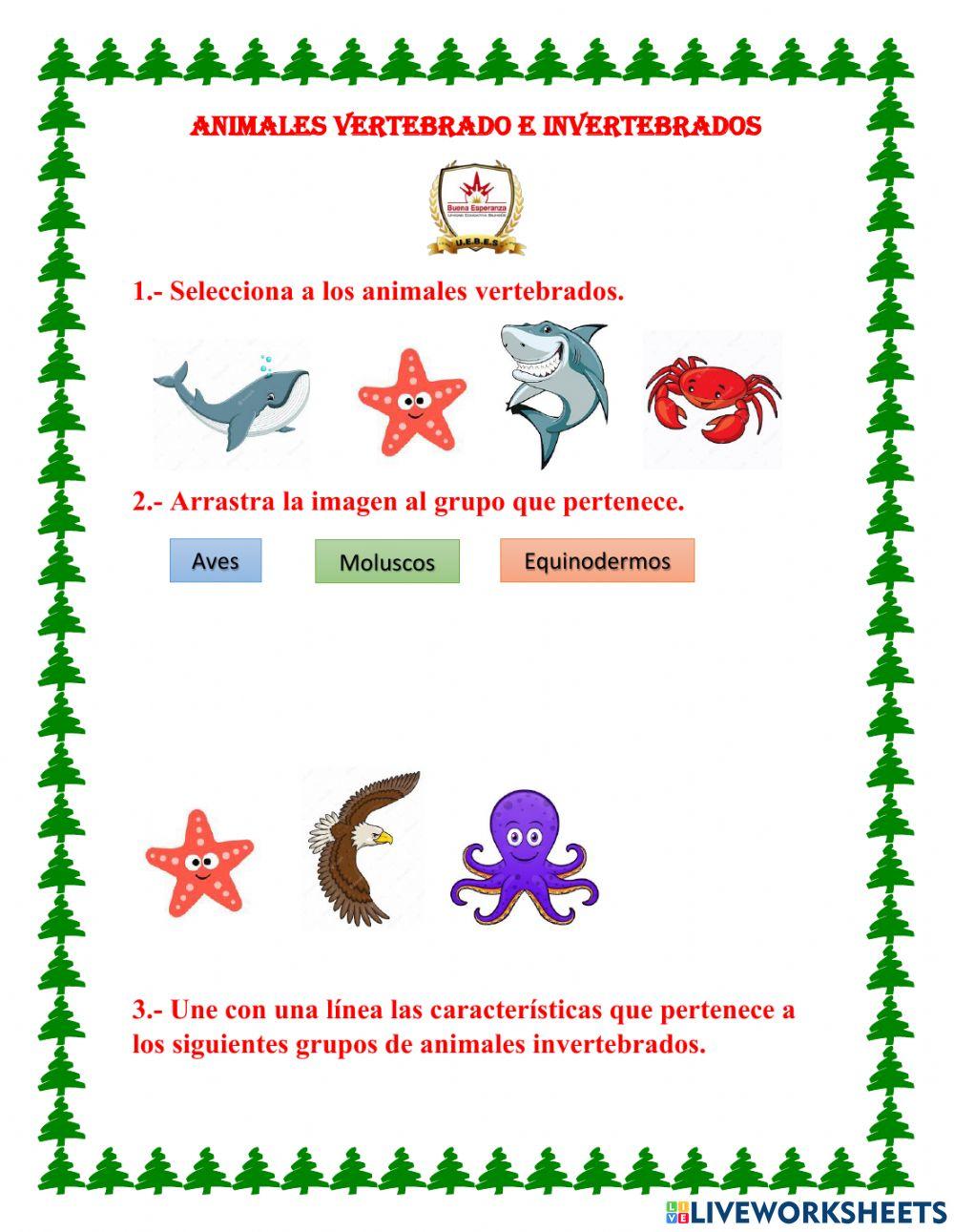 Animales Vertebrados E Invertebrados Online Exercise For Quinto Live Animales Vertebrados E Invertebrados Online Exercise For Quinto Live