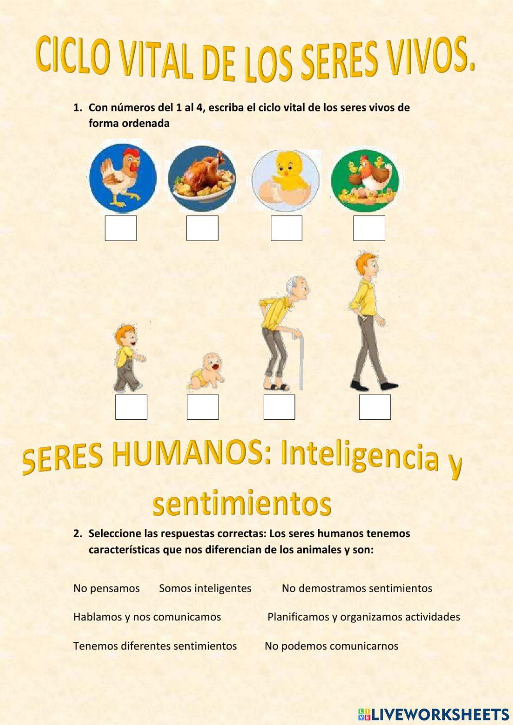 El ciclo vital y los seres humanos