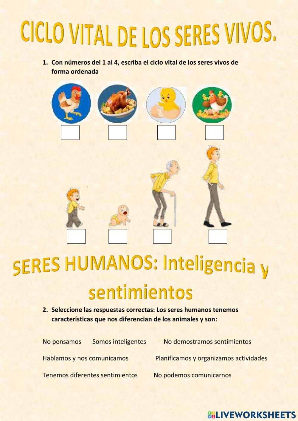 El ciclo vital y los seres humanos