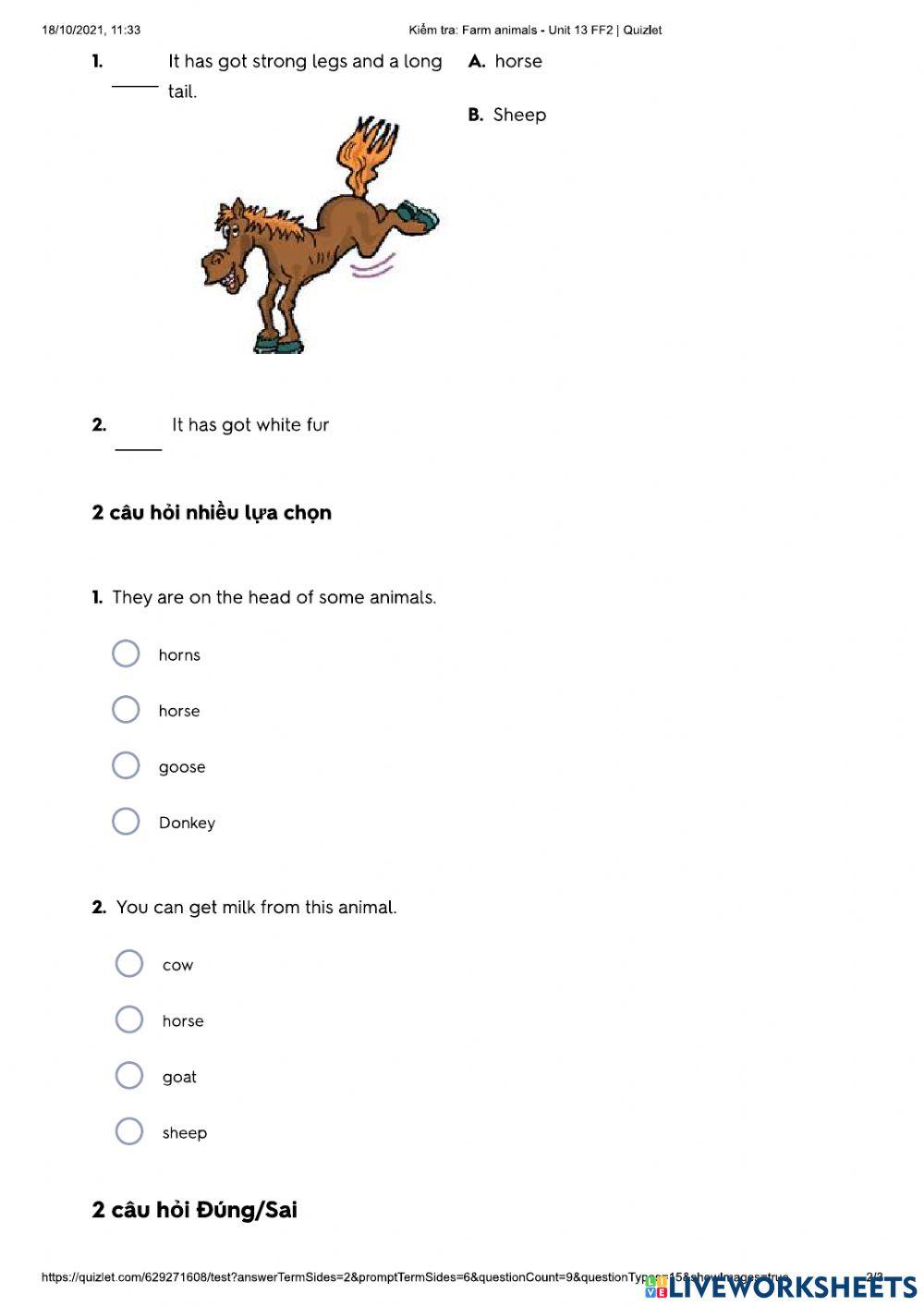 Farm animal - U13 FF2