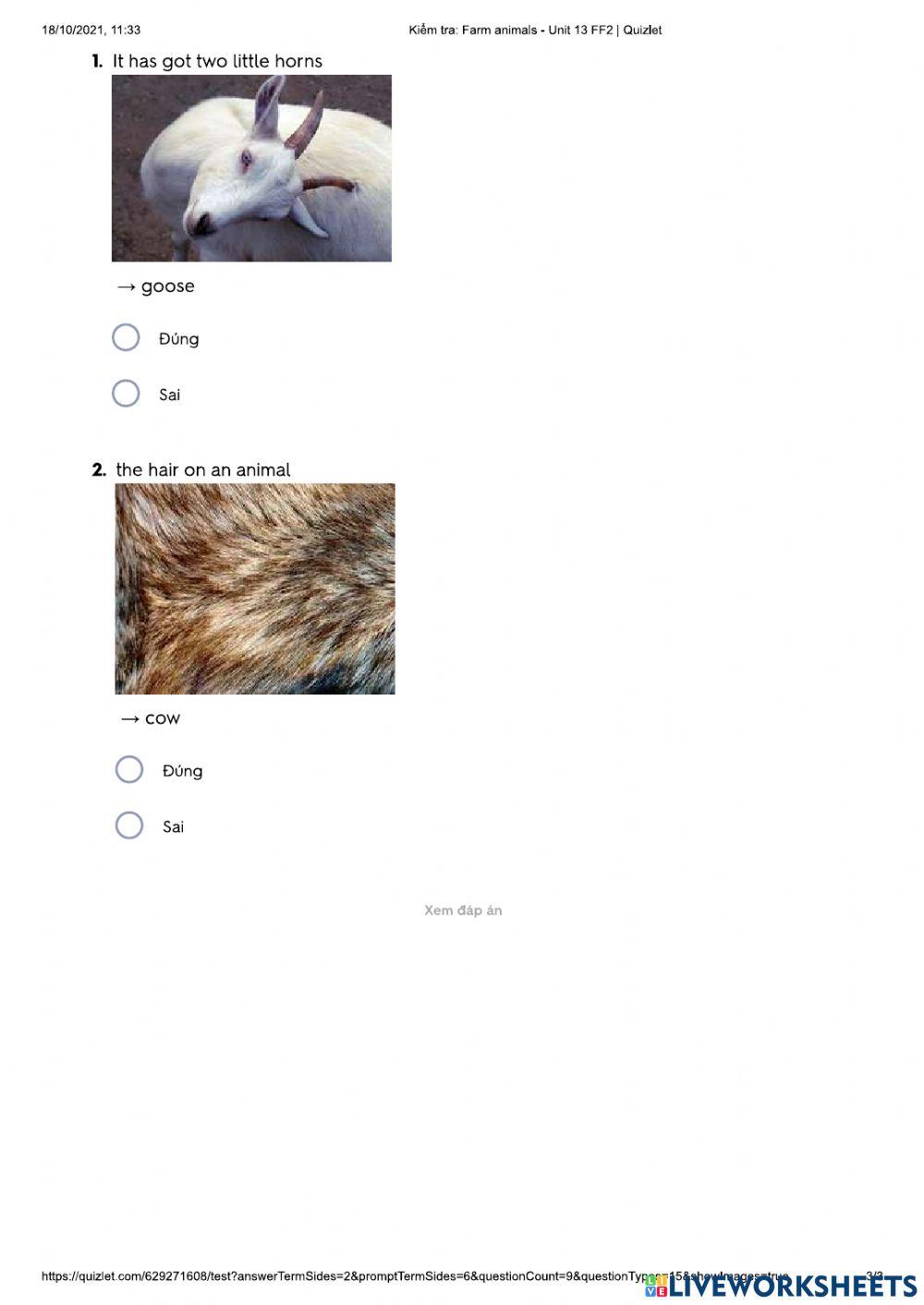 Farm animal - U13 FF2